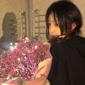 安妮的头像