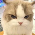 极道无敌~装B万界的头像