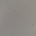 秋禾火的头像