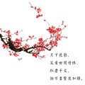 筱儿的头像