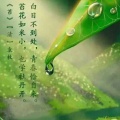 书友505949549的头像