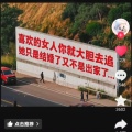 牵着蜗牛散步的头像