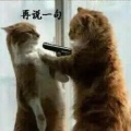 书友的头像