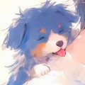 青小菜的头像
