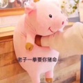 泡沫里的世界的头像