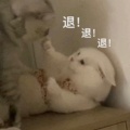 书友 3374988573的头像
