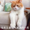 书友615629942的头像