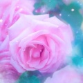 生若夏花1571781314的头像