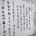 7w7的头像