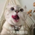 苏田七的头像