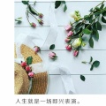 书友817598081的头像