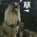 书友638086502的头像