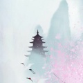 浮生若梦的头像