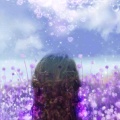 腾腾的头像