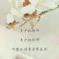 书友793291749的头像