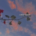 纯皓的头像