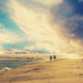 幸运的掌门在挖宝藏的头像