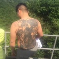 书友 3097101020的头像