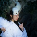 天狐妖的头像