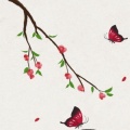 蒂茹果果的头像