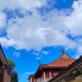 香樟缤的头像