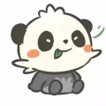 小黄梨的头像