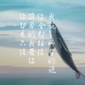 十二曌的头像