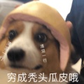 深溪子的头像