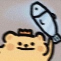 北筱的头像