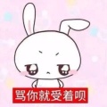 小霖的头像