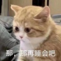陈又熙没睡着的头像