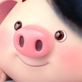 书友1169935475的头像