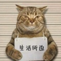 太初的头像