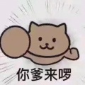 书友 1872596136的头像