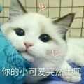 天下归心的头像