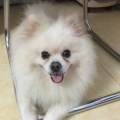 书友325900697的头像