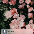 书友901720968的头像