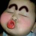 书友903269179的头像