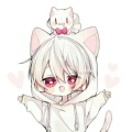 书友737247566的头像