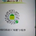书友844805275的头像