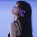 书友 3333908265的头像