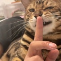 念与的头像