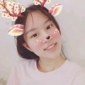 新莲的头像