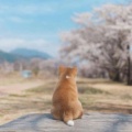 笑一天的头像