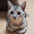 doudou12125的头像