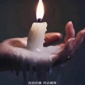 浮生葬梦的头像