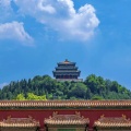 龙卧炎黄的头像