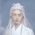 猫猫汪的头像