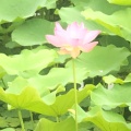 阳阳的头像