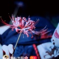 一世微凉的头像